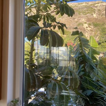 The Squeegee Crew - Our windows look beautiful again! - Window Washing Near Me - Chatsworth, California