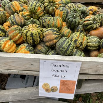 Styer Orchard - Pick Your Own Farms Near Me - Langhorne, Pennsylvania