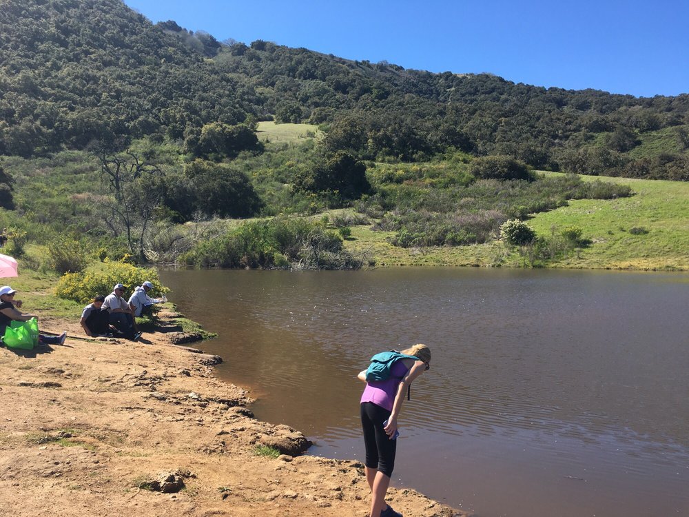 CARMEL VALLEY VILLAGE Updated September 2024 Carmel Valley Road And