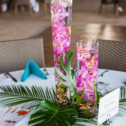 Taylor Grace Designs