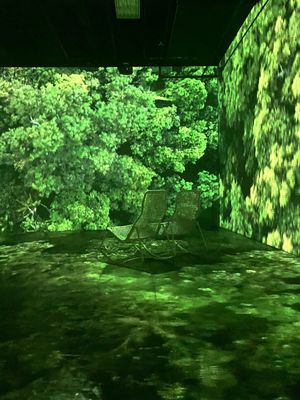 OASIS immersion by null