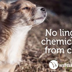 100% Organic Wet Cleaning -- Certified by Wet Cleaners USA