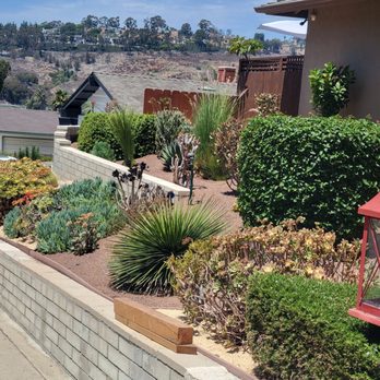 Noeman's Landscape and Construction - Street view of front landscape in which has been refreshed , oh container people left the 2x4s those will be removed this afternoon LOL - Irrigation Near Me