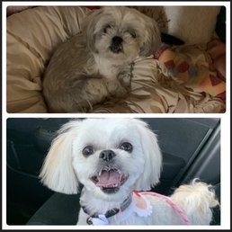 Before and After photo. You can see her eyes!