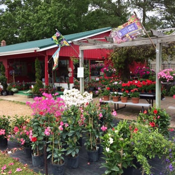 Wayside Nursery - Nurseries & Gardening Near Me - South Hill, Virginia Wayside Nursery - Nurseries & Gardening Near Me - South Hill, Virginia