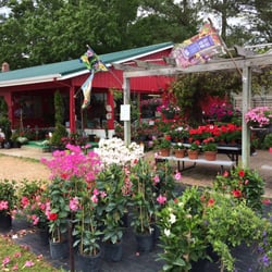Wayside Nursery