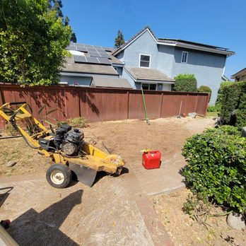 Environmental Green Tree Care - Tree Services Near Me Environmental Green Tree Care - Tree Services Near Me