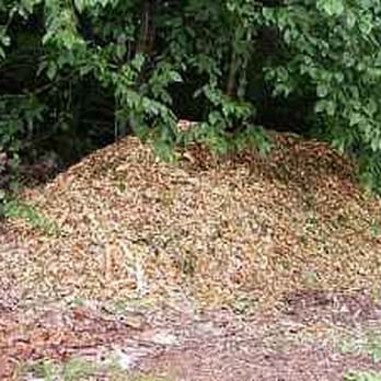 Youngs Tree Tech - Free Delivered Woodchips - Tree Services Near Me - Raleigh, North Carolina