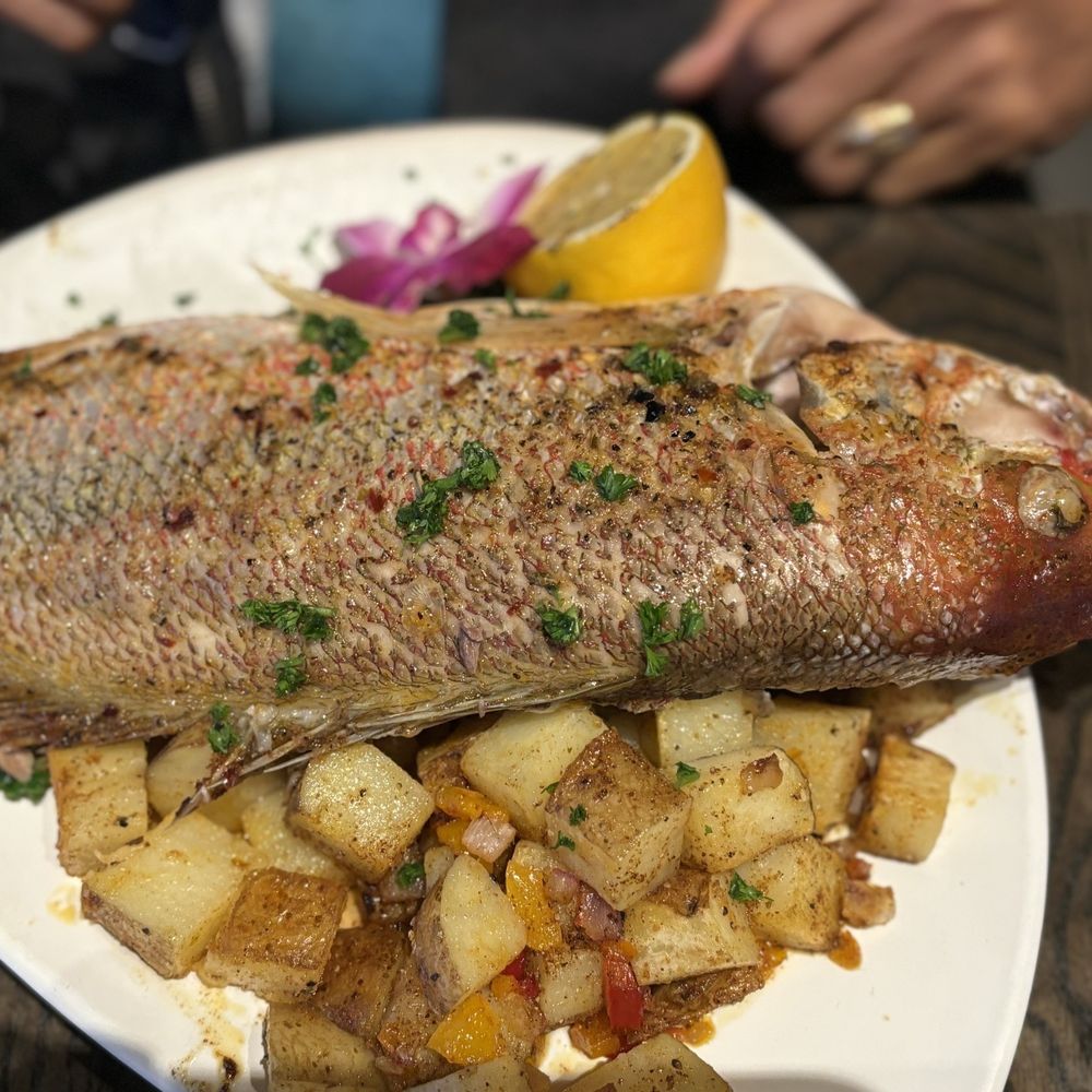 Gocha's Tapas Bar - Whole Snapper Fish - Tapas Bars Near Me - Atlanta, Georgia Gocha's Tapas Bar - Whole Snapper Fish - Tapas Bars Near Me - Atlanta, Georgia