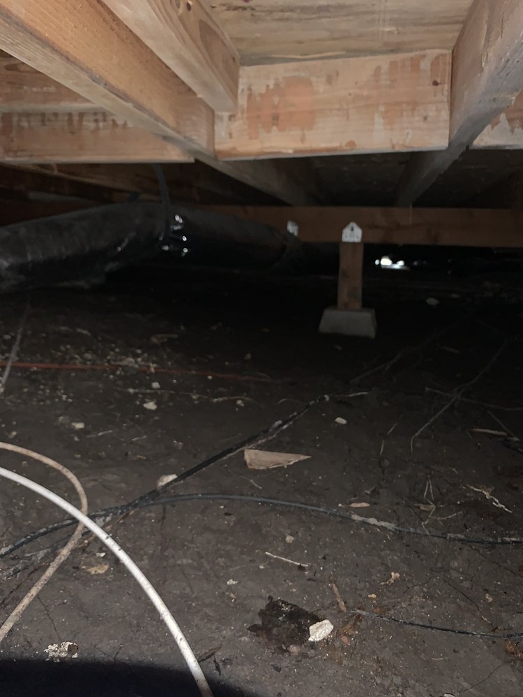 Mold Masters - mold inspector in Los Angeles, CA