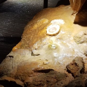 Luray Caverns - Luray Caverns - Museums Near Me - Luray, Virginia Luray Caverns - Luray Caverns - Museums Near Me - Luray, Virginia