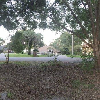 Karney Tree Service - Before Karney came out, I couldn't see my neighbors from this position - Tree Services Near Me - Winter Garden, Florida Karney Tree Service - Before Karney came out, I couldn't see my neighbors from this position - Tree Services Near Me - Winter Garden, Florida
