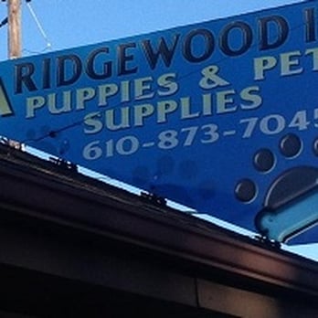 AA Ridgewood Kennels II - Pet Stores Near Me - Gap, Pennsylvania
