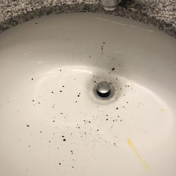 Union at Midtown - Your sink drains will also spew out black stuff from time to time! - University Housing Near Me - Detroit, Michigan