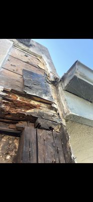 Dry Rot Repair - Dry rot repair restores the strength and safety of your property by replacing damaged wood and treating affected areas. This service prevents further deterioration, protects structural integrity, and helps maintain a healthy, long-lasting environment for your home or business.
