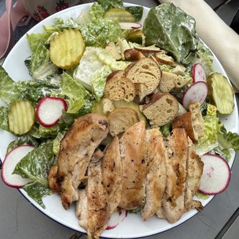 Southerleigh - House Salad with grilled chicken - Breweries Near Me - San Antonio, Texas