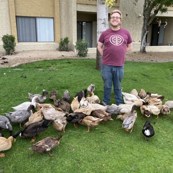 TMC Auto Repair - Me with ducks. - Auto Repair Near Me - Walnut, California TMC Auto Repair - Me with ducks. - Auto Repair Near Me - Walnut, California