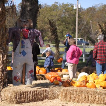 Carmichael's Pumpkin Patch - Amusement Parks Near Me - Bixby, Oklahoma Carmichael's Pumpkin Patch - Amusement Parks Near Me - Bixby, Oklahoma
