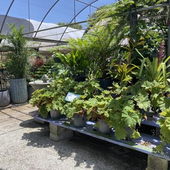 Galloway Farm Nursery - Nurseries & Gardening Near Me - Miami, Florida Galloway Farm Nursery - Nurseries & Gardening Near Me - Miami, Florida