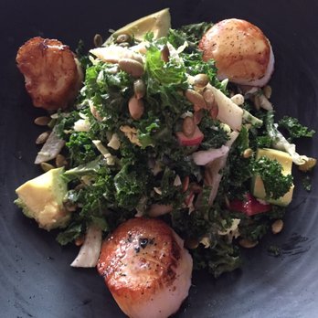 Pacific Table - Scallop Salad - those scallops were HUGE! Dressing was delicious - Sushi Bars Near Me - Fort Worth, Texas Pacific Table - Scallop Salad - those scallops were HUGE! Dressing was delicious - Sushi Bars Near Me - Fort Worth, Texas