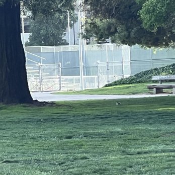 Cuesta Park - Parks Near Me - Mountain View, California