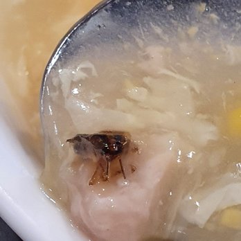 Dumpling Depot - Dim Sum Near Me - Sunnyvale, California