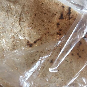 Fava Pot - Fresh bread! - Mediterranean Near Me - Falls Church, Virginia