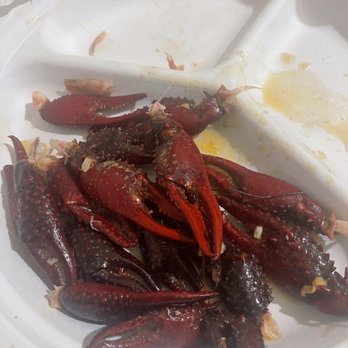 1-800 CRAWFISH - So big you can eat the damn claws. - Seafood Markets Near Me - Galveston, Texas