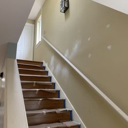 Bellevue PRO Painting