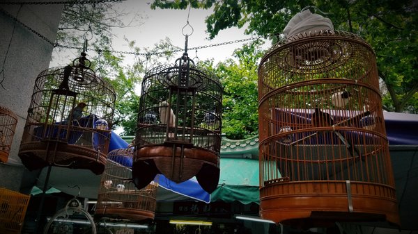 Yuen Po Street Bird Garden by null