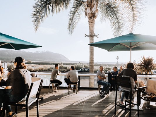 Bird Rock Coffee Roasters - Torrey Pines by null