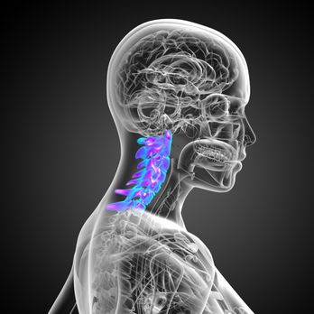 Hagop Alajajian - Chiropractors Near Me - Glendale, California Hagop Alajajian - Chiropractors Near Me - Glendale, California