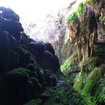 Westcave Outdoor Discovery Center - A view from the grotto - Parks Near Me - Round Mountain, Texas