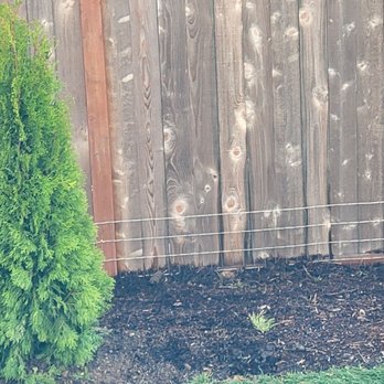 Jorge Landscaping & Tree Services - Jorge developed a plan with us to keep our tiny chihuahua from escaping beneath the fence by burying wire. Looks clean - Landscaping Near Me - Belfair, Washington Jorge Landscaping & Tree Services - Jorge developed a plan with us to keep our tiny chihuahua from escaping beneath the fence by burying wire. Looks clean - Landscaping Near Me - Belfair, Washington