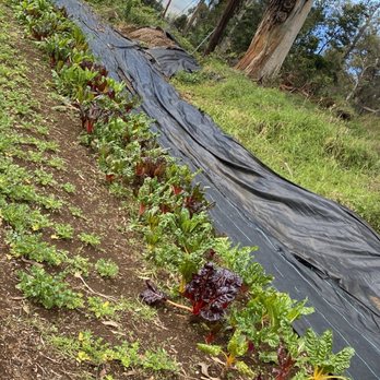 O'o Farms - Food Tours Near Me - Kula, Hawaii