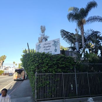 Mickey Hargitay Plants - Nurseries & Gardening Near Me - Los Angeles, California Mickey Hargitay Plants - Nurseries & Gardening Near Me - Los Angeles, California