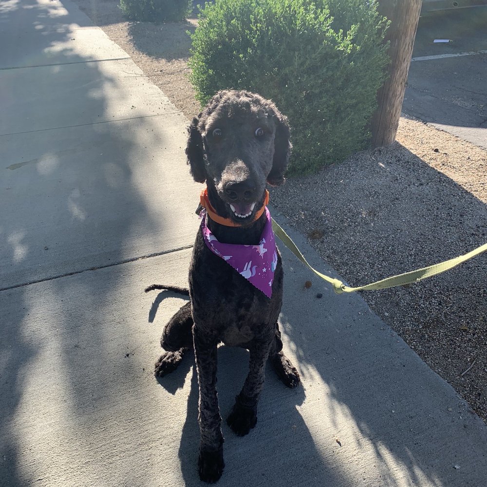 Happy healthy girl! Happy healthy girl!