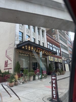 The Siren Café by null