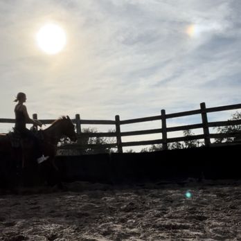 Turkey Creek Stables - Horseback Riding Near Me - Plant City, Florida Turkey Creek Stables - Horseback Riding Near Me - Plant City, Florida
