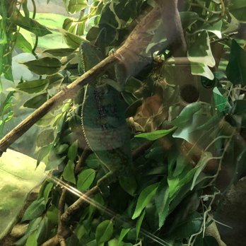 Taronga Zoo - Zoos Near Me - Mosman, NSW