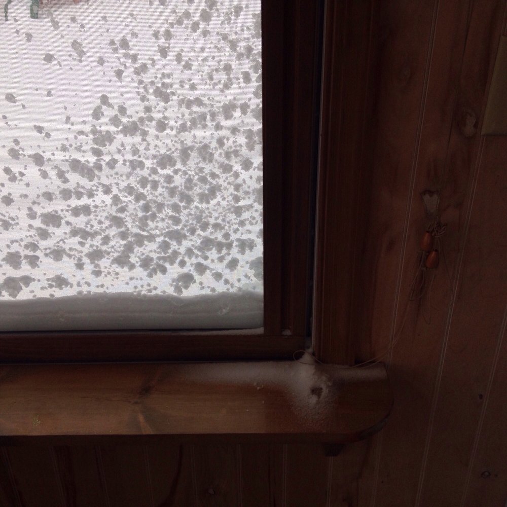 Maurer Inspections - This is what we are experiencing with the windows after a snow storm. - Home Inspectors Near Me - Doylestown, Pennsylvania