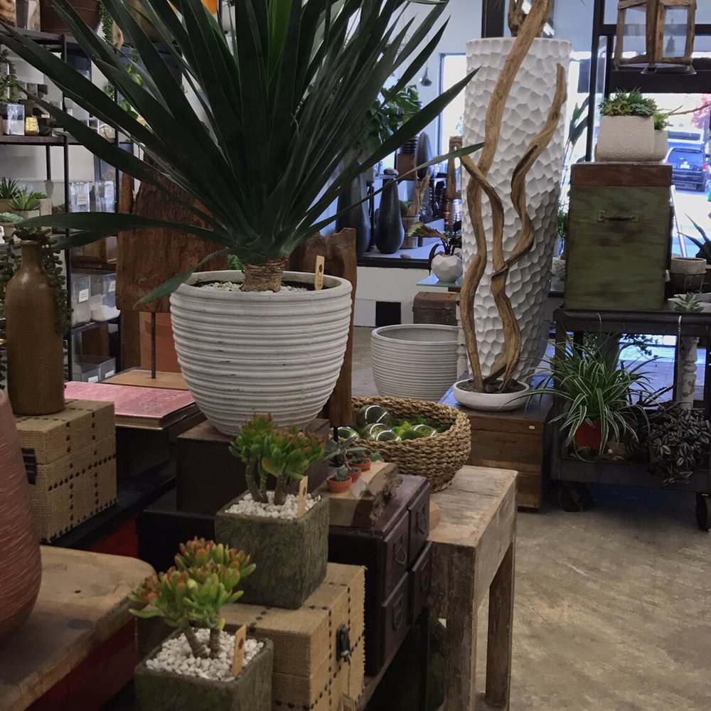 The Juicy Leaf - Nurseries & Gardening Near Me - Los Angeles, California The Juicy Leaf - Nurseries & Gardening Near Me - Los Angeles, California