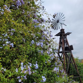 Alta Vista Botanical Gardens - Windmill - Botanical Gardens Near Me - Vista, California Alta Vista Botanical Gardens - Windmill - Botanical Gardens Near Me - Vista, California