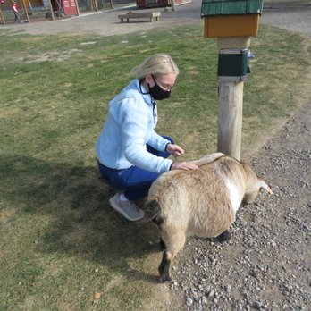 Yellowstone Bear World - She knows to stand by the food (25 cents) and it worked! I fed her twice! - Zoos Near Me - Rexburg, Idaho Yellowstone Bear World - She knows to stand by the food (25 cents) and it worked! I fed her twice! - Zoos Near Me - Rexburg, Idaho