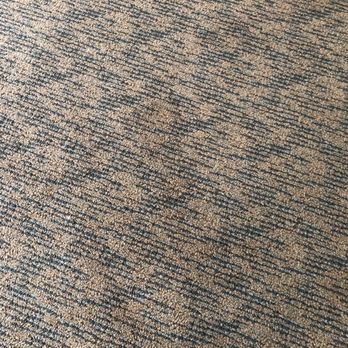 Sea Crest Resort - Carpets stained and smelly - Resorts Near Me - Amagansett, New York Sea Crest Resort - Carpets stained and smelly - Resorts Near Me - Amagansett, New York