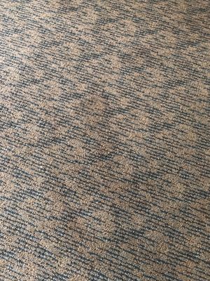 Sea Crest Resort by null