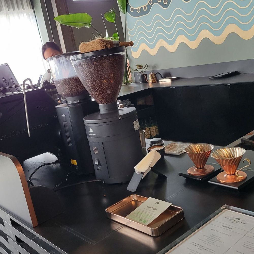The Boy & The Bear - Coffee & Tea Near Me - Pasadena, California The Boy & The Bear - Coffee & Tea Near Me - Pasadena, California