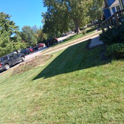 Alvarado Tree Services