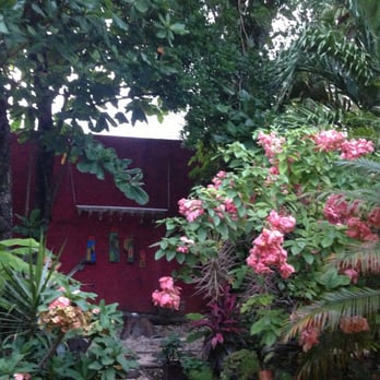 La Choza - Beautiful courtyard - Mexican Near Me - Cozumel, ROO La Choza - Beautiful courtyard - Mexican Near Me - Cozumel, ROO