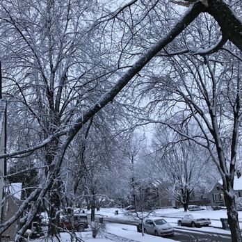AAA-McDonald Tree Service - Tree Services Near Me - Grosse Pointe Park, Michigan AAA-McDonald Tree Service - Tree Services Near Me - Grosse Pointe Park, Michigan